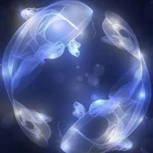 学无止jin的头像